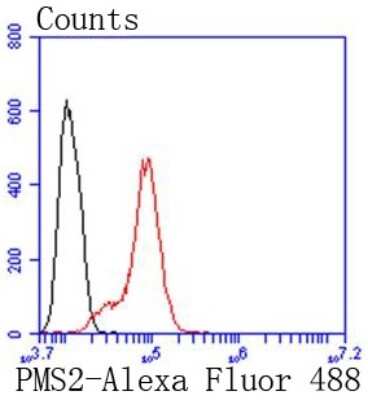 Flow Cytometry: PMS2 Antibody (SY08-09) [NBP2-67069] - Analysis of Hela cells with PMS2 antibody at 1/50 dilution (red) compared with an unlabelled control (cells without incubation with primary antibody; black). Alexa Fluor 488-conjugated goat anti rabbit IgG was used as the secondary antibody