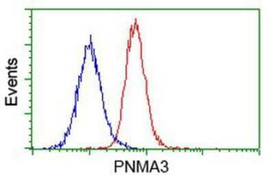 Flow Cytometry: PNMA3 Antibody (1C3) [NBP2-03547] - Analysis of Hela cells, using anti-PNMA3 antibody, (Red), compared to a nonspecific negative control antibody (Blue).