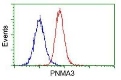 Flow Cytometry: PNMA3 Antibody (OTI1C3) - Azide and BSA Free [NBP2-73485] - Analysis of Hela cells, using anti-PNMA3 antibody, (Red), compared to a nonspecific negative control antibody (Blue).