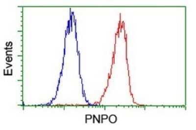 Flow Cytometry: PNPO Antibody (OTI1G9) [NBP2-45361] - Analysis of Jurkat cells, using PNPO antibody,(Red), compared to a nonspecific negative control antibody  (Blue).