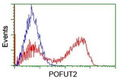 Flow Cytometry: POFUT2 Antibody (OTI3A12) - Azide and BSA Free [NBP2-73512] - Analysis of HEK293T cells transfected with either overexpress plasmid(Red) or empty vector control plasmid(Blue) were immunostaining by POFUT2 antibody.