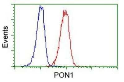 Flow Cytometry: PON1 Antibody (OTI2D4) - Azide and BSA Free [NBP2-73526] - Analysis of Jurkat cells, using anti-PON1 antibody, (Red), compared to a nonspecific negative control antibody (Blue).