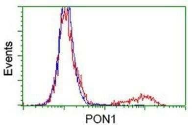 Flow Cytometry: PON1 Antibody (OTI2D4) - Azide and BSA Free [NBP2-73526] - HEK293T cells transfected with either overexpression plasmid (Red) or empty vector control plasmid (Blue) were immunostaining by anti-PON1 antibody, and then analyzed by flow cytometry.