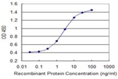 Sandwich ELISA: PP1 Inhibitor-2 Antibody (2E9) [H00005504-M01] - Detection limit for recombinant GST tagged PPP1R2 is 0.1 ng/ml as a capture antibody.