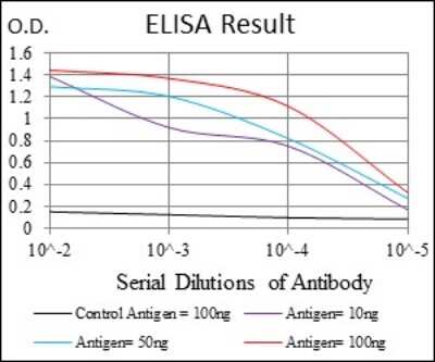 ELISA: PP1 alpha/PPP1A Antibody (5E9) [NBP2-37531] - Red: Control Antigen (100ng); Purple: Antigen (10ng); Green: Antigen (50ng); Blue: Antigen (100ng);