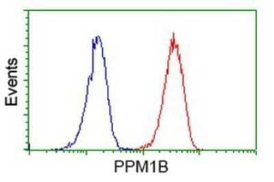 Flow Cytometry: PP2C beta/PPM1B Antibody (OTI3F2) - Azide and BSA Free [NBP2-73547] - Analysis of Jurkat cells, using anti-PPM1B antibody, (Red), compared to a nonspecific negative control antibody (Blue).