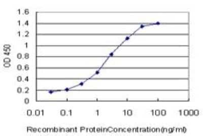 ELISA: PPAR delta/NR1C2 Antibody (1G4) [H00005467-M03] - Detection limit for recombinant GST tagged PPARD is approximately 0.1ng/ml as a capture antibody.