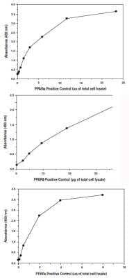 PPARA/PPARD/PPARG Complete Transcription Factor Assay Kit (Colorimetric) [KA1357] - Increasing amounts of positive control (total lysate) are assayed for PPARA, PPARD, and PPARG DNA-binding activity.