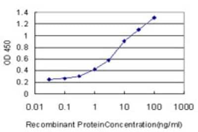 Sandwich ELISA: PPIL2 Antibody (2E11) [H00023759-M02] - Detection limit for recombinant GST tagged PPIL2 is approximately 0.1ng/ml as a capture antibody.