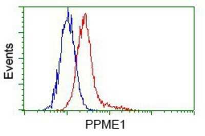 Flow Cytometry: PPME1 Antibody (OTI7F12) - Azide and BSA Free [NBP2-73583] - Analysis of Hela cells, using anti-PPME1 antibody, (Red) compared to a nonspecific negative control antibody (Blue).