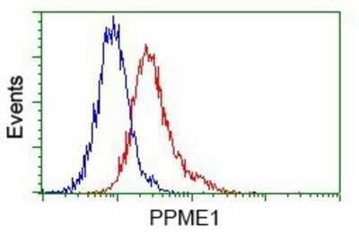 Flow Cytometry: PPME1 Antibody (OTI7F12) - Azide and BSA Free [NBP2-73583] - Analysis of Jurkat cells, using anti-PPME1 antibody, (Red) compared to a nonspecific negative control antibody (Blue).