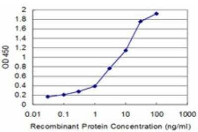 ELISA: PPOX Antibody (2B5) [H00005498-M04] - Detection limit for recombinant GST tagged PPOX is approximately 0.1ng/ml as a capture antibody.