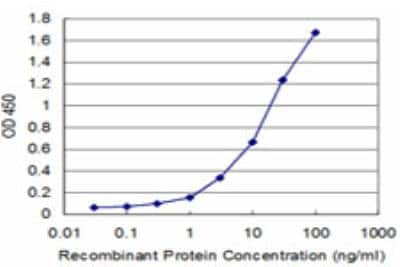 ELISA: PPOX Antibody (2F12) [H00005498-M03] - Detection limit for recombinant GST tagged PPOX is approximately 0.3ng/ml as a capture antibody.