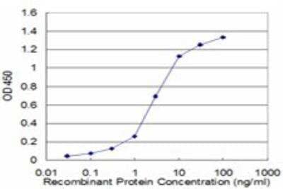 ELISA: PPP2R2C Antibody (6D1) [H00005522-M01] - Detection limit for recombinant GST tagged PPP2R2C is approximately 0.1ng/ml as a capture antibody.