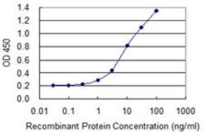Sandwich ELISA: PPP6C Antibody (1B7) [H00005537-M01] - Detection limit for recombinant GST tagged PPP6C is 0.3 ng/ml as a capture antibody.
