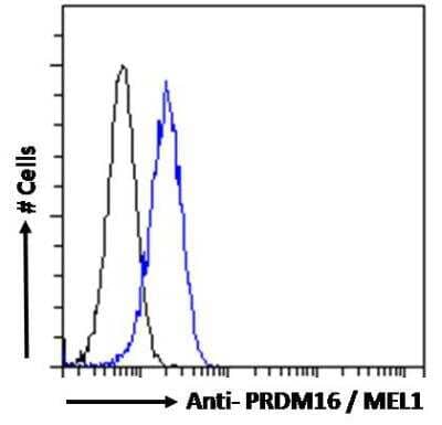 Flow Cytometry: PRDM16/MEL1 Antibody [NB100-1088] - Analysis of paraformaldehyde fixed HEK293 cells (blue line), permeabilized with 0.5% Triton. Primary incubation 1hr (10ug/ml) followed by Alexa Fluor 488 secondary antibody (1ug/ml). IgG control: Unimmunized goat IgG (black line) followed by Alexa Fluor 488 secondary antibody.