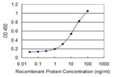Sandwich ELISA: PRDM4 Antibody (1F6) [H00011108-M06] - Detection limit for recombinant GST tagged PRDM4 is 0.3 ng/ml as a capture antibody.