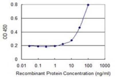 Sandwich ELISA: PRDM4 Antibody (3C4) [H00011108-M01] - Detection limit for recombinant GST tagged PRDM4 is 1 ng/ml as a capture antibody.