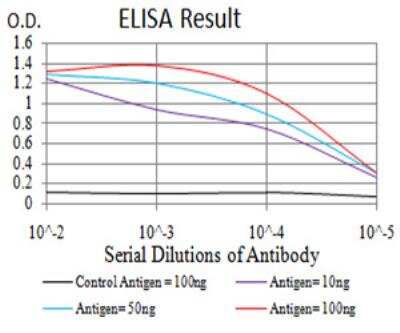 ELISA PRDM5 Antibody (7D4E11) - BSA Free