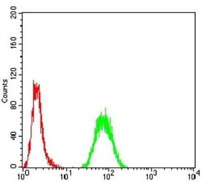 Flow Cytometry PRDM5 Antibody (7D4E11) - BSA Free