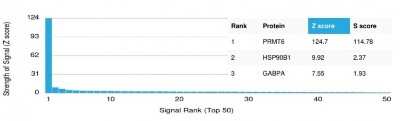 Protein Array: PRMT6 Antibody (PCRP-PRMT6-2C9) - Azide and BSA Free [NBP3-08393] - Analysis of Protein Array containing more than 19,000 full-length human proteins using PRMT6 Mouse Monoclonal Antibody (PCRP-PRMT6-2C9).