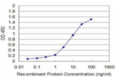 ELISA: PRPK Antibody (2E10) [H00112858-M05] - Detection limit for recombinant GST tagged TP53RK is approximately 0.3ng/ml as a capture antibody.