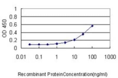 Sandwich ELISA: PRPK Antibody (4B9-1H3) [H00112858-M01] - Detection limit for recombinant GST tagged TP53RK is approximately 1ng/ml as a capture antibody.