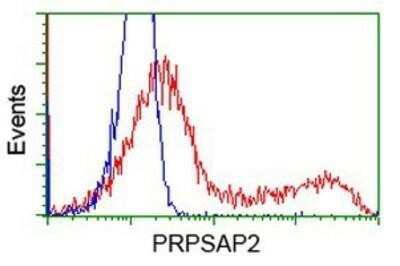 Flow Cytometry: PRPSAP2 Antibody (OTI1E3) - Azide and BSA Free [NBP2-73676] - HEK293T cells transfected with either overexpression plasmid (Red) or empty vector control plasmid (Blue) were immunostaining by anti-PRPSAP2 antibody, and then analyzed by flow cytometry.