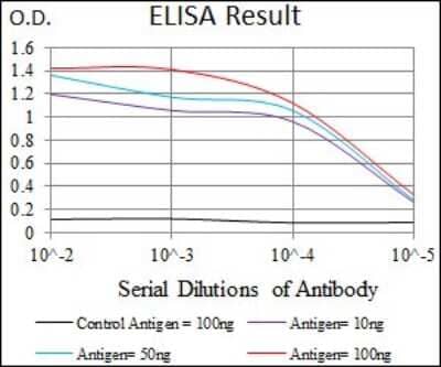 ELISA: PSAP Antibody (4D5F4) [NBP2-37422] - Red: Control Antigen (100ng); Purple: Antigen (10ng); Green: Antigen (50ng); Blue: Antigen (100ng);