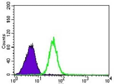 Flow Cytometry: PSAP Antibody (4D5F4) [NBP2-37422] - Flow cytometric analysis of HeLa cells using PSAP mouse mAb (green) and negative control (purple).