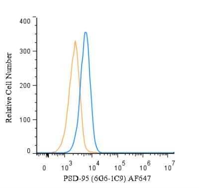 Flow Cytometry: PSD-95 Antibody (6G6-1C9) [Alexa Fluor 647] [NB300-556AF647] - An intracellular stain was performed on HeLa cells with PSD-95 Antibody (6G6-1C9) NB300-556AF647 (blue) and a matched isotype control (orange). Cells were fixed with 4% PFA and then permeablized with 0.1% saponin. Cells were incubated in an antibody dilution of 2.5 ug/mL for 30 minutes at room temperature. Both antibodies were conjugated to Alexa Fluor 647.