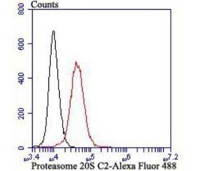 Flow Cytometry: PSMA1 Antibody (JB89-30) [NBP2-75628] - Analysis of K562 cells with Proteasome 20S C2 antibody at 1/100 dilution (red) compared with an unlabelled control (cells without incubation with primary antibody; black). Alexa Fluor 488-conjugated goat anti rabbit IgG was used as the secondary antibody.