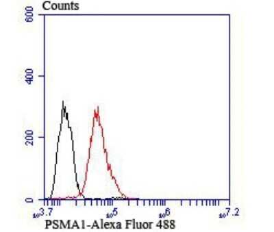 Flow Cytometry: PSMA1 Antibody (JU66-24) [NBP2-75633] - Analysis of HepG2 cells with PSMA1 antibody at 1/100 dilution (red) compared with an unlabelled control (cells without incubation with primary antibody; black). Alexa Fluor® 488-conjugated goat anti-rabbit IgG was used as the secondary antibody.