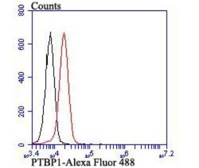 Flow Cytometry: PTBP1 Antibody (9A1) [NBP2-75636] - Analysis of K562 cells with PTBP1 antibody at 1/100 dilution (red) compared with an unlabelled control (cells without incubation with primary antibody; black). Alexa Fluor 488-conjugated goat anti-mouse IgG was used as the secondary antibody.