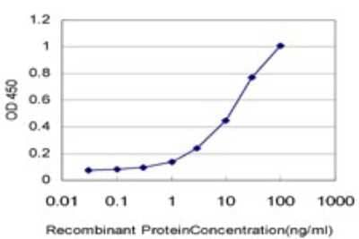 Sandwich ELISA: PTEN Antibody (2G9) [H00005728-M01] - Detection limit for recombinant GST tagged PTEN is approximately 0.3ng/ml as a capture antibody.