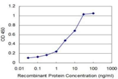 Sandwich ELISA: PTF1A Antibody (4B1) [H00256297-M01] - Detection limit for recombinant GST tagged PTF1A is approximately 0.1ng/ml as a capture antibody.