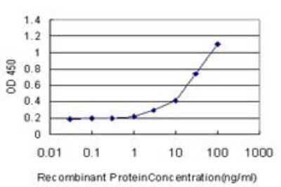 ELISA: PTK7/CCK4 Antibody (4F5) [H00005754-M06] - Detection limit for recombinant GST tagged PTK7 is approximately 1ng/ml as a capture antibody.