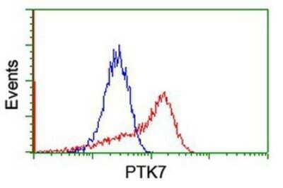 Flow Cytometry: PTK7/CCK4 Antibody (OTI2E7) - Azide and BSA Free [NBP2-73708] - HEK293T cells transfected with either overexpression plasmid (Red) or empty vector control plasmid (Blue) were immunostaining by anti-CCK4 antibody, and then analyzed by flow cytometry.