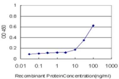 ELISA: PTP epsilon Antibody (2D10) [H00005791-M04] - Detection limit for recombinant GST tagged PTPRE is approximately 10ng/ml as a capture antibody.