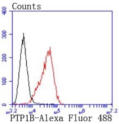 Flow Cytometry: PTP1B/PTPN1 Antibody (JJ0935) [NBP2-67918] - Analysis of Raji cells with PTP1B antibody at 1/50 dilution (red) compared with an unlabelled control (cells without incubation with primary antibody; black). Alexa Fluor 488-conjugated goat anti rabbit IgG was used as the secondary antibody