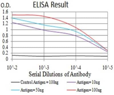 ELISA: PTPN14/PTPD2 Antibody (2B3H7) [NBP2-61809] - Black line: Control Antigen (100 ng);Purple line: Antigen (10ng); Blue line: Antigen (50 ng); Red line:Antigen (100 ng)