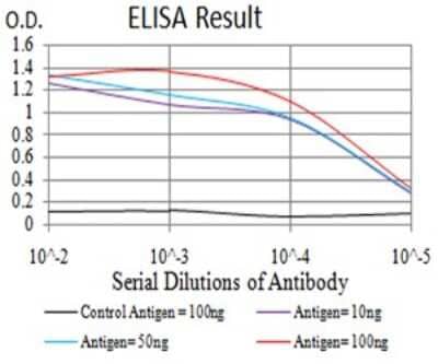 ELISA: PTPN14/PTPD2 Antibody (2C12E3) [NBP2-61810] - Black line: Control Antigen (100 ng);Purple line: Antigen (10ng); Blue line: Antigen (50 ng); Red line:Antigen (100 ng)