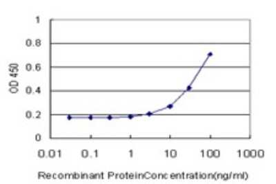 Sandwich ELISA PTPN4 Antibody (3C8)