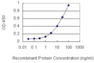 Sandwich ELISA: PTPRO Antibody (3F4) [H00005800-M03] - Detection limit for recombinant GST tagged PTPRO is 0.3 ng/ml as a capture antibody.