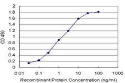 ELISA: PU.1/Spi-1 Antibody (2G1) [H00006688-M02] - Detection limit for recombinant GST tagged SPI1 is approximately 0.1ng/ml as a capture antibody.