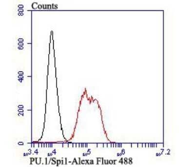 Flow Cytometry: PU.1/Spi-1 Antibody (JB72-35) [NBP2-75637] - Analysis of K562 cells with PU.1/Spi1 antibody at 1/100 dilution (red) compared with an unlabelled control (cells without incubation with primary antibody; black). Alexa Fluor 488-conjugated goat anti rabbit IgG was used as the secondary antibody.