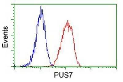 Flow Cytometry: PUS7 Antibody (OTI5F12) - Azide and BSA Free [NBP2-73733] - Analysis of Hela cells, using anti-PUS7 antibody, (Red), compared to a nonspecific negative control antibody (Blue).