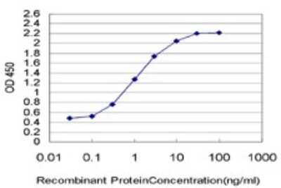 Sandwich ELISA PWP1 Antibody (3A11)