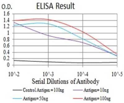 ELISA: PXR/NR1I2 Antibody (1D12G1) [NBP2-61816] - Black line: Control Antigen (100 ng);Purple line: Antigen (10ng); Blue line: Antigen (50 ng); Red line:Antigen (100 ng)