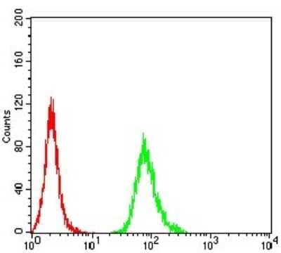 ELISA: PXR/NR1I2 Antibody (1D12G1) [NBP2-61816] - Analysis of HepG2 cells using NR1I2 mouse mAb (green) and negative control (red).